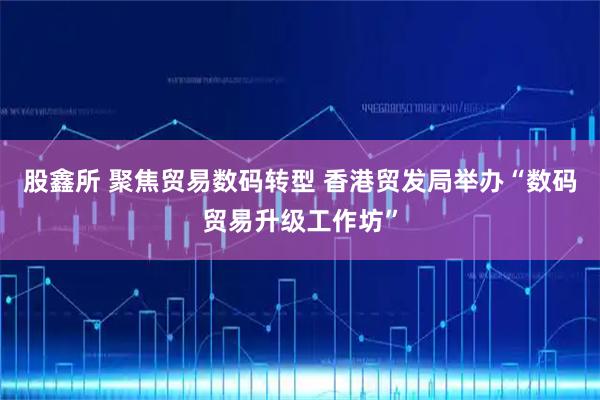 股鑫所 聚焦贸易数码转型 香港贸发局举办“数码贸易升级工作坊”