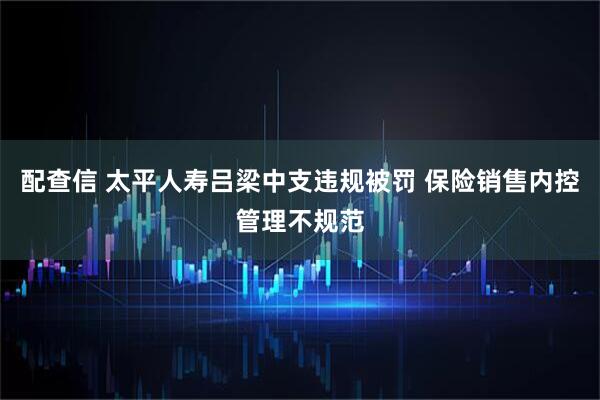 配查信 太平人寿吕梁中支违规被罚 保险销售内控管理不规范