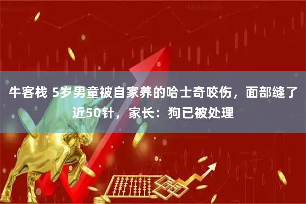牛客栈 5岁男童被自家养的哈士奇咬伤，面部缝了近50针，家长：狗已被处理
