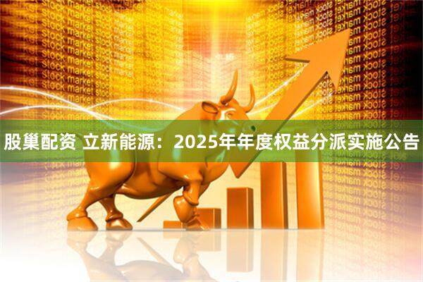 股巢配资 立新能源：2025年年度权益分派实施公告