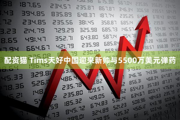 配资猫 Tims天好中国迎来新帅与5500万美元弹药